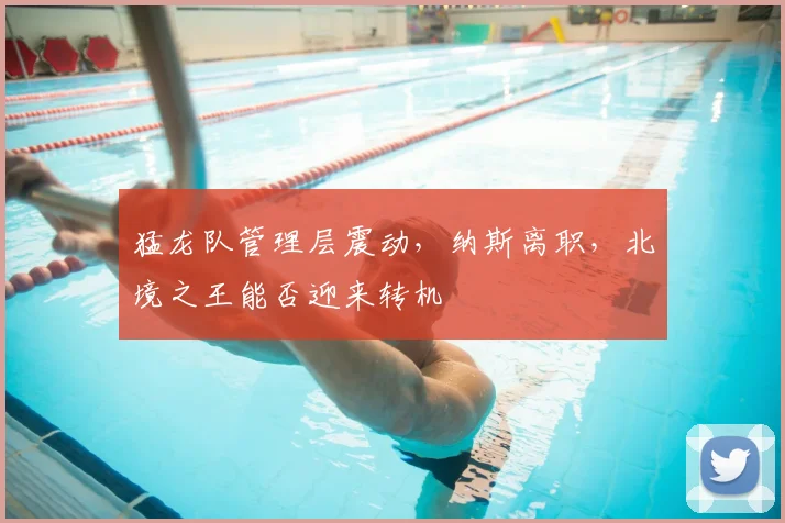 猛龙队管理层震动，纳斯离职，北境之王能否迎来转机