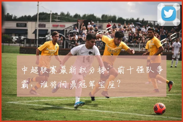 中超联赛最新积分榜：前十强队争霸，谁将问鼎冠军宝座？