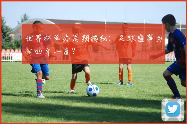 世界杯举办周期揭秘：足球盛事为何四年一度？